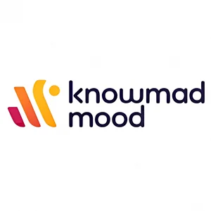 Knowmad Mood